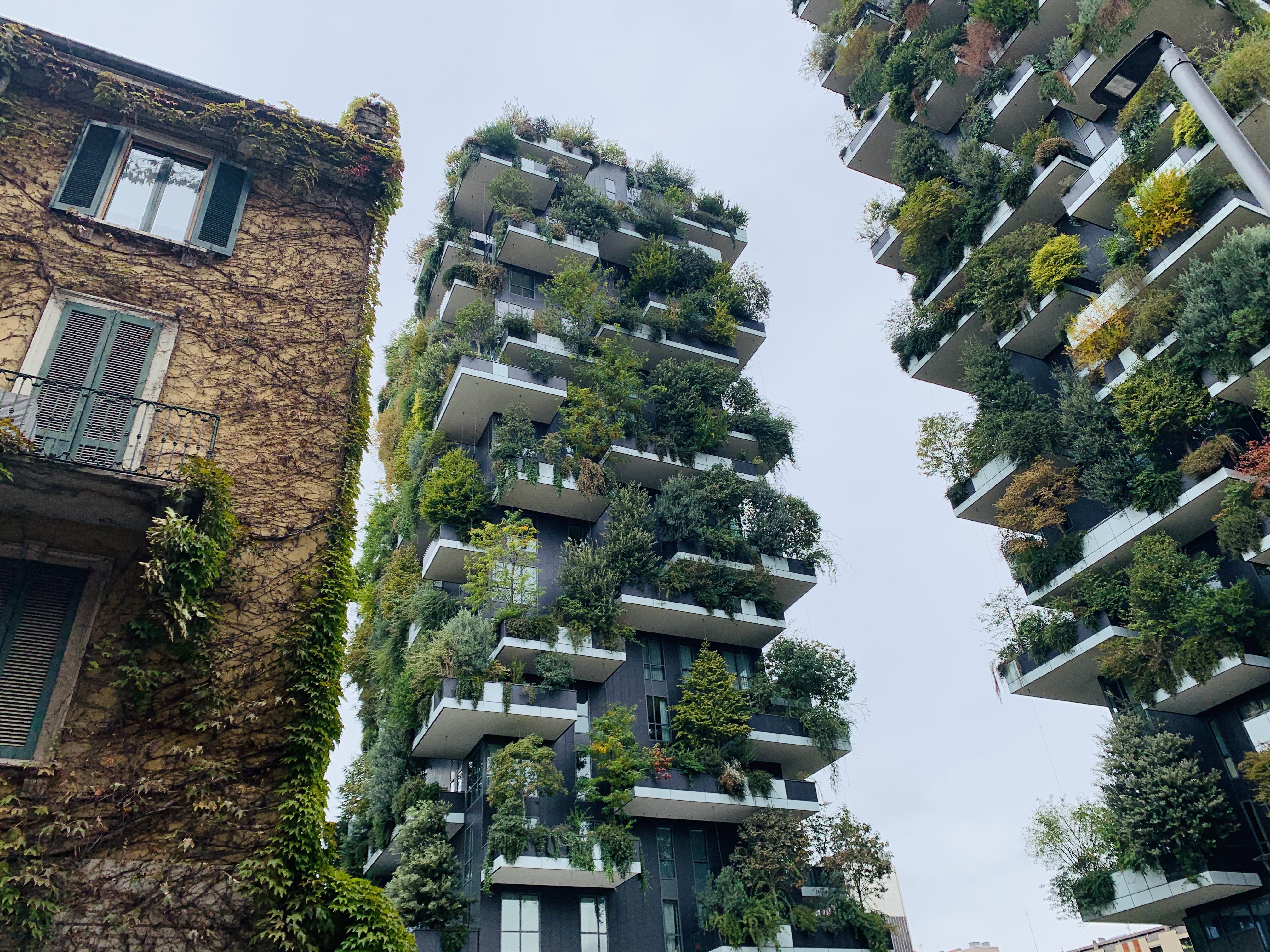 Was der «Bosco verticale» mit Homeoffice zu tun hat